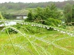 雨の日も楽しめます