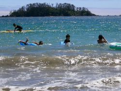 2026大島の夏だ！海水浴だ！
