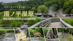 •	奥日光のおすすめ自然スポット「湯ノ平湿原」をご紹介します