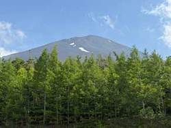 休暇村富士周辺から撮影した富士山