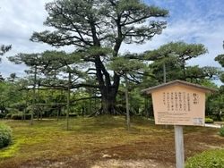 金沢初心者が歩いてみた 兼六園ゆるっと散歩