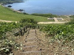 真夏の【園地大整備計画】