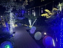 その②サマーイルミネーションと風鈴☆