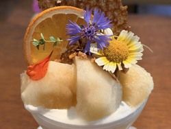 2026桃活☆Parfait<br>恵那明智【AOZOLA】