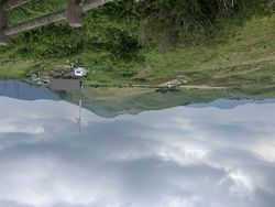 夏の四国カルストは,やっぱり涼しかった！！