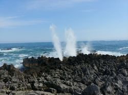 夏の涼を求めて①【岩井崎】
