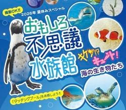 夏休みのおでかけにおすすめ！「おもしろ不思議水族館」開催♪