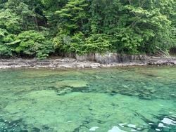 「水中から森まで。支笏湖が語る4万年の物語」