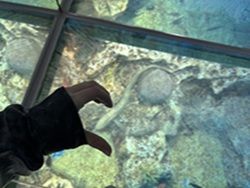 私的！越前松島水族館のおすすめ！パート3
