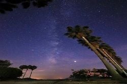 夏の星空観察！