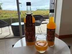 暑い時期に飲みたいみかんジュース🍊