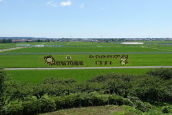 こんなところにも『田んぼアート』が!!