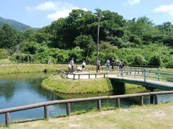 夏休みの思い出に塩釜養魚センターの釣り堀体験