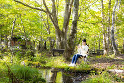 お好きな場所でまったりと🌳