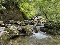 小林の渓流釣行記【浪漫を求めて】