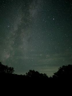 ブナの森天然プラネタリウム