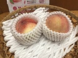 売店で桃を販売中！