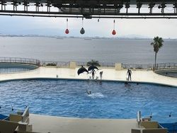 マリンワールド海の中道に行ってきました！