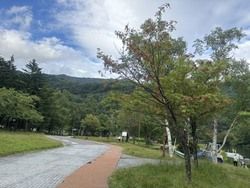 🍂 秋が少しずつ近づいてきました 🍁