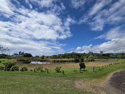 市立豪州友好記念公園（オーストラリアの森）