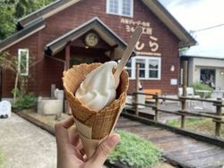 牧場で味わうジャージーソフト