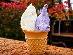 ― 松ぼっくりの手づくりジェラート どうぞー