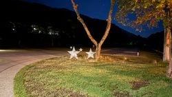 朝と夜によく出没する生物とは？！？！