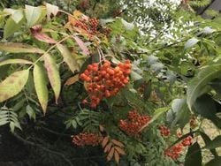 秋の気配を感じながら休暇村周辺をちょこっと散策♪