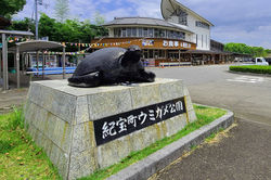 道の駅紀宝町ウミガメ公園