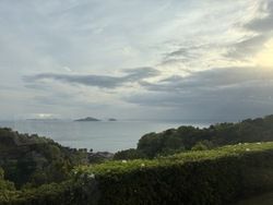 朝の爽やかな空気の中でお散歩♪