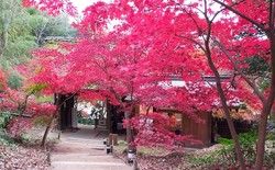 バス旅のご紹介☆