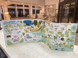 可愛い魚と海中散歩