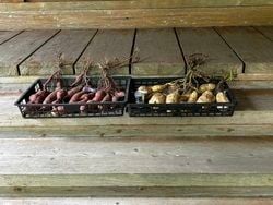 利右衛門を祀る神社、徳光神社