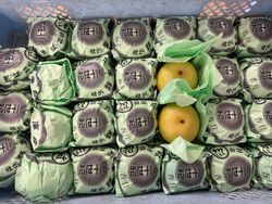 但馬の秋の味覚　二十世紀梨入荷しました。　