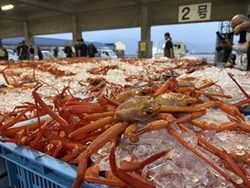 秋の味覚！！いよいよ解禁・・・