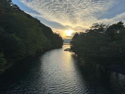朝の野鳥の森散策へ！緑豊かな遊歩道とエゾシカたちに出会う時間