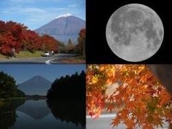 秋の田貫湖の楽しみ