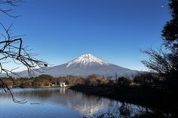 The beauty of Lake Tanuki 