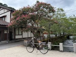 いつもと違う、城崎温泉での休日