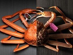 ベニズワイガニ・ズワイガニの違いって？！