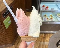 ジェラートがおいしいお店°˖✧