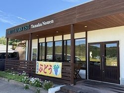 カフェ併設の【ぶどう】直売所　期間限定オープン中♪