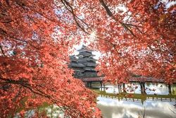 秋の紅葉巡り in　NAGANO