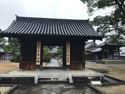 秋へんろの季節がやってきました