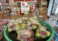 売店にリンゴの季節がやって来ました！
