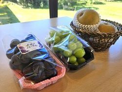 フルーツ王国！秋の味覚は信州で