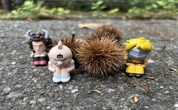 栗にびっくり(^_-)-☆