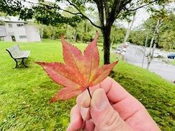 すこーしずつ秋の足音が🍂