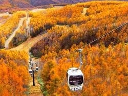 紅葉時期におすすめ！ロープウェイ往復チケット付プラン