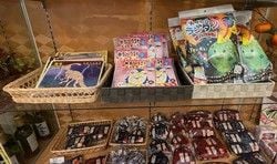 NEW！クラフト工作キット入荷しました！
